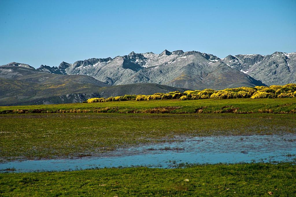 Hotel Rural La Dehesilla Barajas de Gredos Ngoại thất bức ảnh