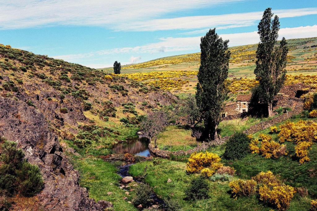 Hotel Rural La Dehesilla Barajas de Gredos Ngoại thất bức ảnh
